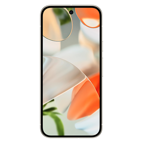 Pixel 9 in Porcelain