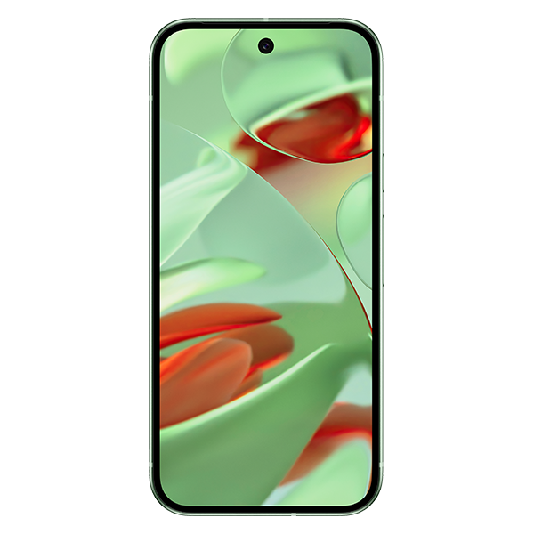 Pixel 9 in Wintergreen
